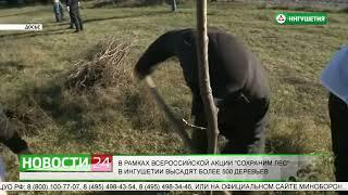 Сюжет НТРК «Ингушетия»: В рамках акции "Сохраним лес" в Ингушетии высадят более 500 деревьев.