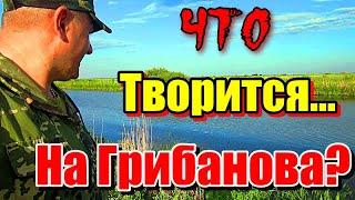 ЧТО ТВОРИТСЯ НА ГРИБАНОВА??? РЕКА ИШИМ. #рыбалка #казахстан #астана #чтотворится #ишим