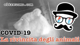 Covid-19: Animali alla riscossa!