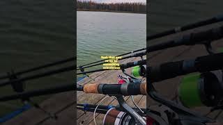Осень и карпфишинг #carpfishing #carp #fishing #fish #рыба