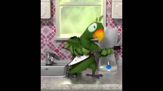 Talking Pierre the Parrot. Talking friends. Попугай Пьер играет на гитаре.