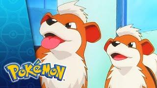 The Case of the K-9 Caper | POKÉMON FULL EPISODE 49 | Season 1