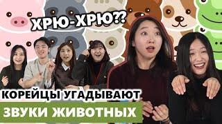 Корейцы угадывают звуки животных на русском / 러시아 동물 소리 맞추기!