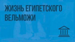 Жизнь египетского вельможи. Видеоурок по Всеобщей истории 5 класс