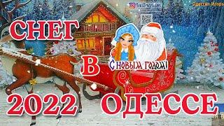 СНЕГ В ОДЕССЕSNOW IN ODESSAПАРК ШЕВЧЕНКО26.12. 2021г. #одесса #odessa #снег  #зима2021 #новыйгод