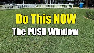 June Lawn Fertilizing Why It's Critical - Thick Green Lawn