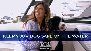 How to Boat With Your Dog | Top Safe Boating Tips from Discover Boating