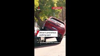 Elderly driver ends up in precarious position on parked car in Artarmon, Sydney