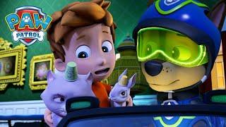 Spy Chase saves Alex's Mini Patrol and more! - PAW Patrol Episode - Cartoons for Kids Compilation