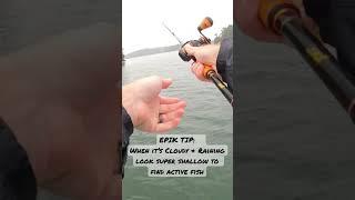 Cloudy + Rain = Shallow Bite  #shorts #fishing #bass