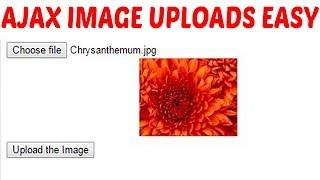 Simple image upload in PHP Jquery Ajax Tutorial with JSON response Example