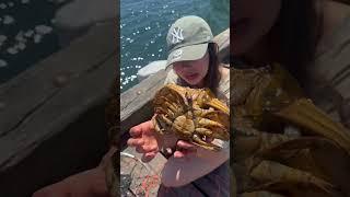 Nakakuha nanaman ng pang dinner  daming crabs  Daph in Canada