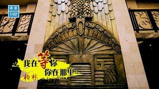 柏林【我在等你你在哪里】Official MV  #我在等你你在哪里 怎么没有你的消息#
