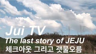 [주이티비] 체크아웃 그리고 괫물오름 / 아기랑 제주여행 / Vlog / 8개월 주이 / 제주도 여행