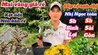 9-3️0395557441 gặp Duy LinhMai vàng giá rẻNhị Ngọc Toàn-Sb Sài Gòn-Sb Bình Lợi-Giảo Cà Mau