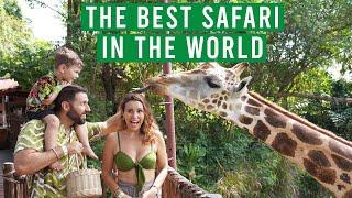 BALI SAFARI UNBELIVABLE EXPERIENCE