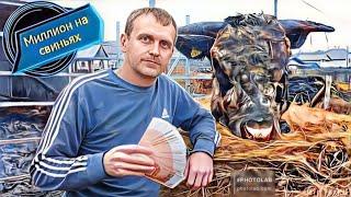 ‼️1200 кг мяса‼️Убрали быков‼️Прибыль, затраты, выводы.