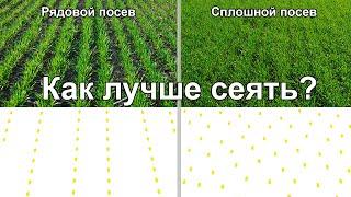 Откуда на сплошном посеве появляется ПРИБАВКА К УРОЖАЮ? Сравнение рядового и сплошного посева.