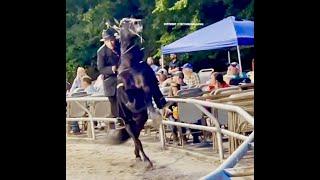 HOW CAN WOODBURY (TN) LIONS CLUB SPONSOR THIS "BIG LICK" ANIMAL CRUELTY TO TENNESSEE WALKING HORSES?