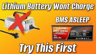 Lithium LifoPO4 Battery Wont Charge! Try This First!