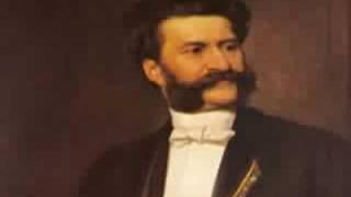 Johann Strauss II - The Blue Danube Waltz