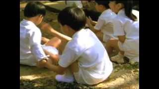 Ariel "Pure Clean" TVCM 1997 アリエール「ピュアクリーン」