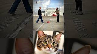 I was very close  #cat #meme #funny #trending