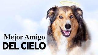 Mejor Amigo Del Cielo | Pelicula Completo