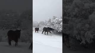 Winter in Tavush, Armenia