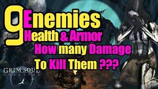 Grim Soul Dark Fantasy : #35 9 enemies health & Armor (how many Damage to kill them)!!!