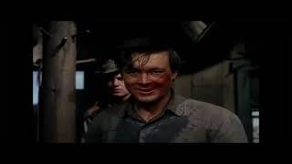 Shane (1953) Fight Scene - Alan Ladd - ActionSetPieces