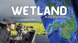 LIGUASAN MARSH: The LARGEST & most intact WETLAND in the PHILIPPINES