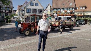 360 Grad |  Impressionen vom Erlenbacher Weinfest | 15.08.24