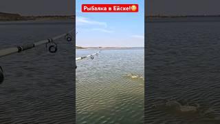 Эту рыбу просто не поймать. Рыбалка на Азовском море. Ейск.