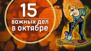 Что делать в октябре  15 самых важных дел в саду и огороде