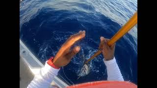 Doing what I do best… losing big fish! Yellow fin tuna catch…