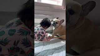 How My Dog Feels About Our Baby **SO TRUE