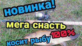 Супер снасть для ловли карася! Косит рыбу! Новинка! Отличная снасть своими руками! Очень просто!