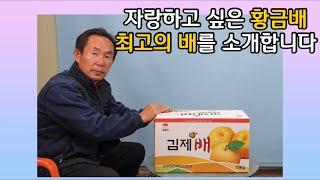 자랑하고 싶은 황금배- 최고의 배를 소개합니다. 주문-010-2040-4567