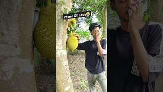 Power of Love  | When Love Makes You Do Crazy Things! | Fun Zone Comedy