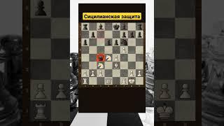 Сицилианская защита #шахматы #chess #chorts