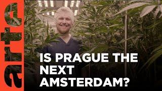 The Czech Cannabis Boom | ARTE.tv Documentary