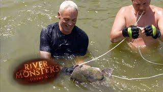 Using Bare Hands To Catch A Catfish | CATFISH | River Monsters