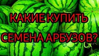 СЕМЕНА АРБУЗОВ / КАКИЕ КУПИТЬ СЕМЕНА АРБУЗОВ?