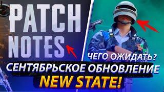 ЧТО ЖДАТЬ ОТ СЕНТЯБРЬСКОГО ОБНОВЛЕНИЯ NEW STATE MOBILE?