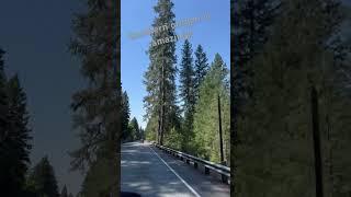 Cruising the backroads Southern Oregon #harleydavidson #hdadventures