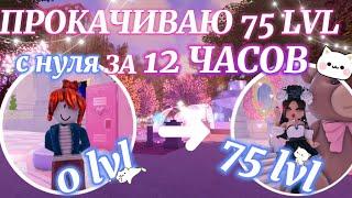 ⊹ ࣪ ˖ ПРОКАЧИВАЮ 75 LVL С НУЛЯ ЗА 12 ЧАСОВ! ₊ ⊹ | Роял Хай | | Royale High |