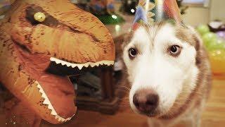 Laika the Husky's Surprise Dinosaur Birthday Party!