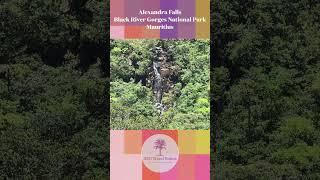 Alexandra Falls - Black River Gorges National Park - Mauritius