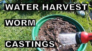 Water Harvest Worm Casting to REMOVE Contamination